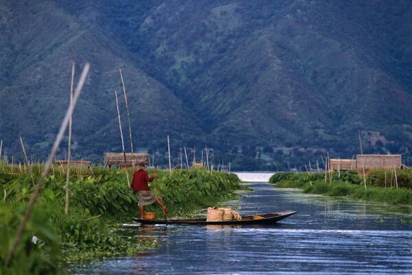 Myanmar, Shan State, Inle Lake, man tending to floating island