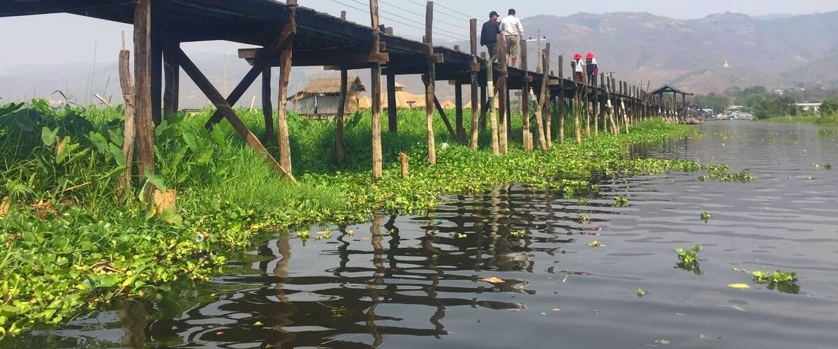 A wooden bridge over a river with vegetation on the banks.