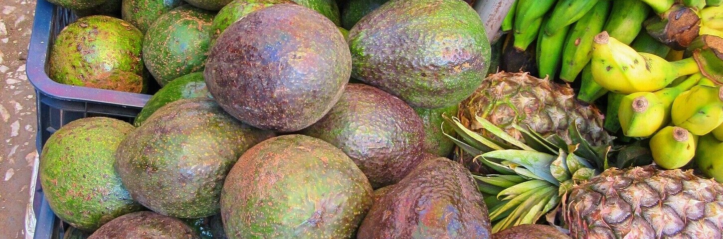 One of my favourite street markets in Asia was the small, one-street market in Kalaw, Myanmar. It might have had something to do with the fact that, yes, those are normal pineapple-sized pineapples, but no, those are not normal sized avocados. #guacamole4lyfe
#market