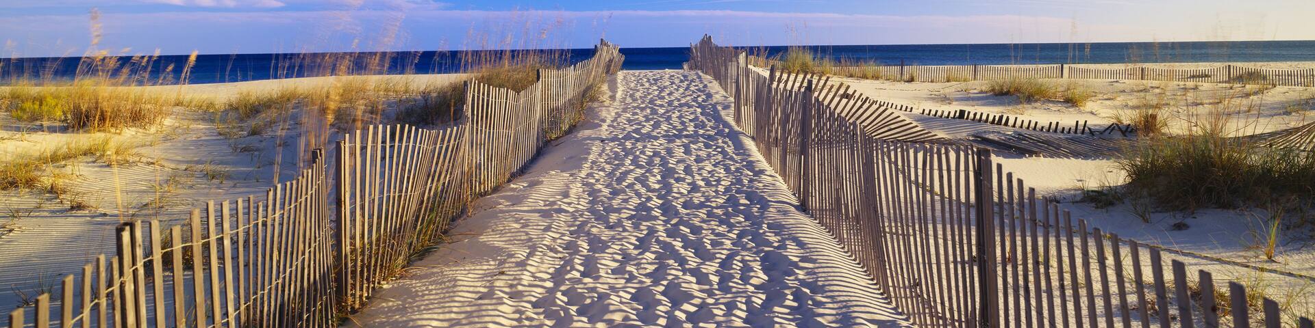 Pathway and sea oats on beach at Santa Rosa Island near Pensacola, Florida, Shutterstock ID 104491910, purchase_order: SP-1269 HA 2018 Batch 1, Order: , client: , other: