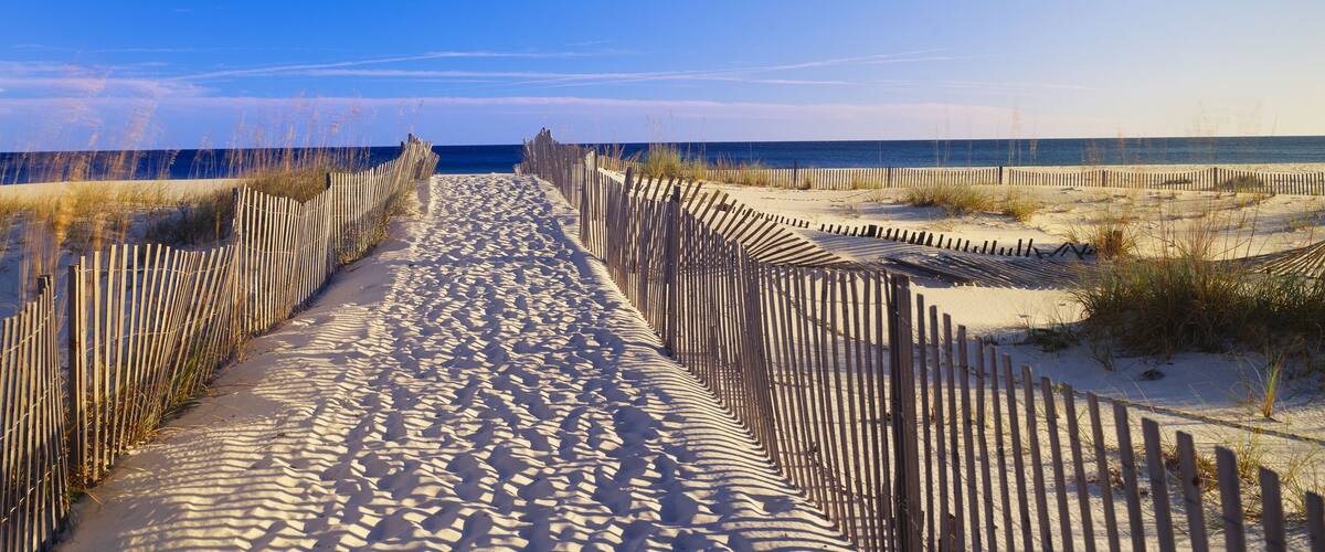 Pathway and sea oats on beach at Santa Rosa Island near Pensacola, Florida, Shutterstock ID 104491910, purchase_order: SP-1269 HA 2018 Batch 1, Order: , client: , other: