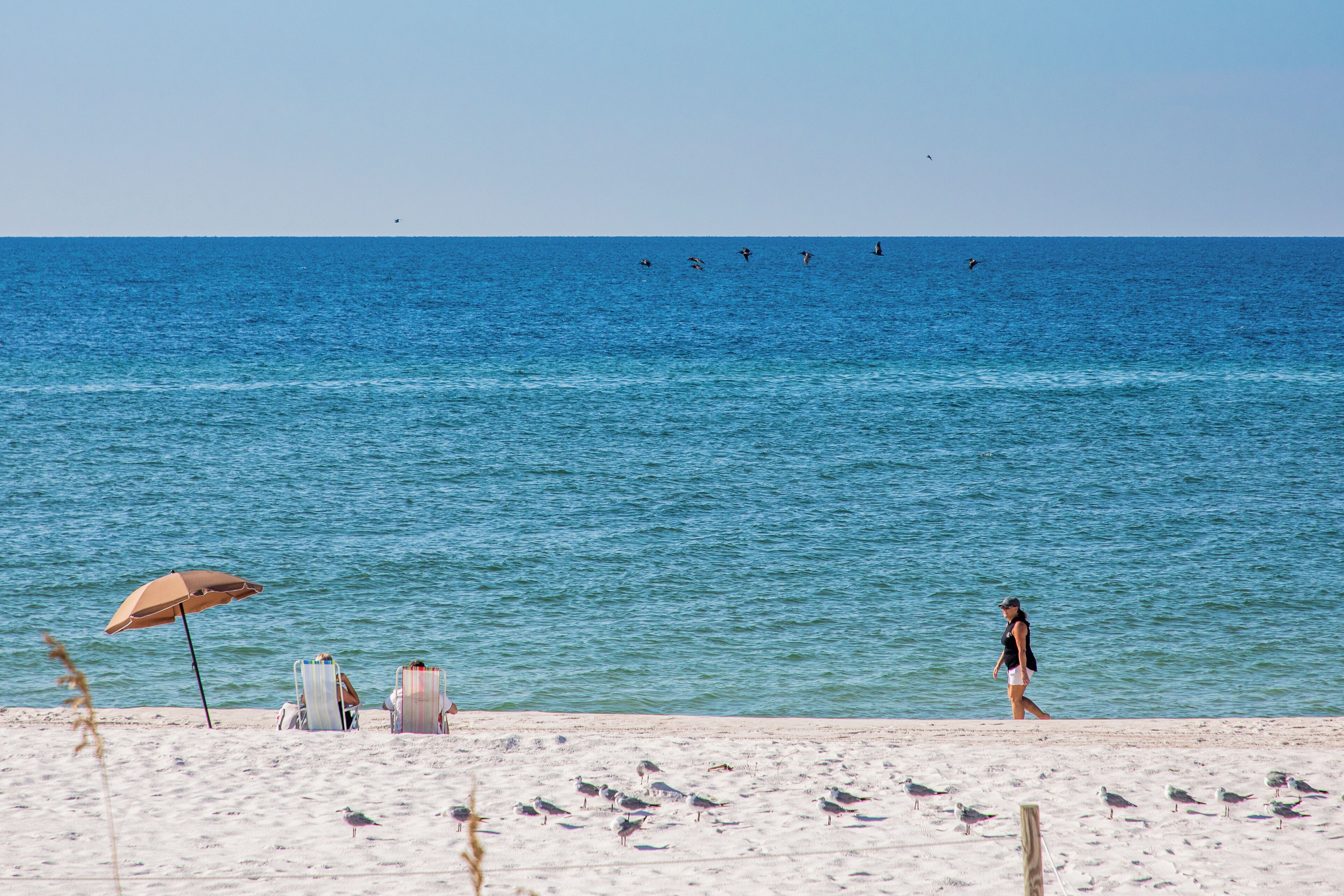 Pensacola_JohnsonBeach_6341181-01