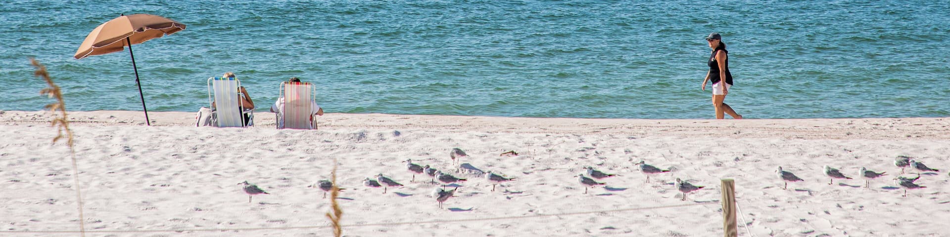 Pensacola_JohnsonBeach_6341181-01