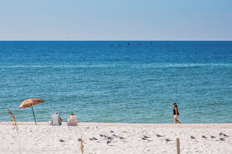 Uma praia com pessoas sob guarda-sóis, gaivotas e um céu azul límpido.