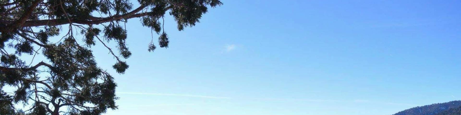 Almost any Vista Point going up to Big Bear, Angelus Oaks area, is super pretty. Great places to pull off and explore.