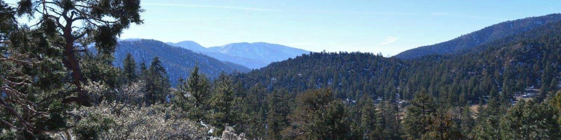Almost any Vista Point going up to Big Bear, Angelus Oaks area, is super pretty. Great places to pull off and explore.