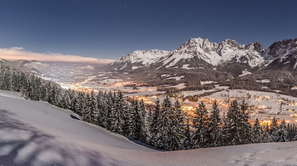 Panorama einer herrlichen Winterlandschaft im Mondlicht