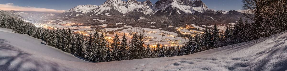 Panorama einer herrlichen Winterlandschaft im Mondlicht