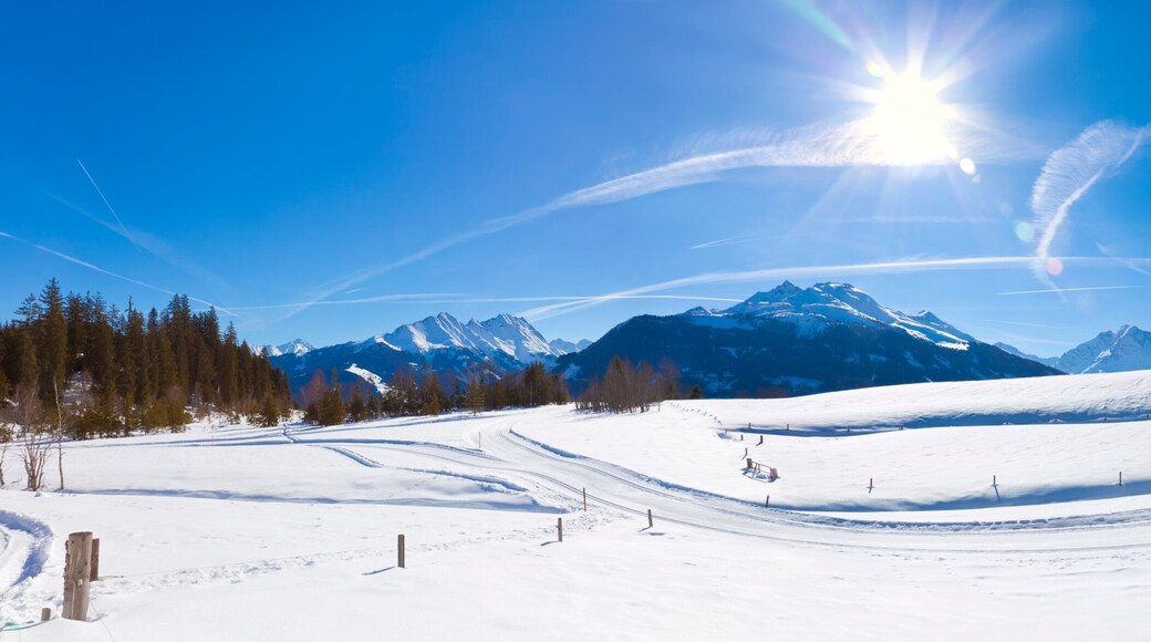 Winterpanorama im Salzburger Land in den Kitzbühler Alpen (Mooralm) mit Langlaufloipe