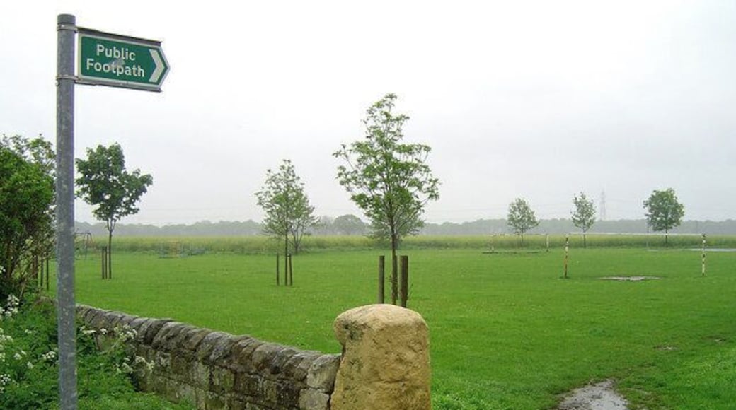 Edenthorpe Playing Field. The history of Edenthorpe can be found following the link. http://www.edenthorpe.com/history.htm