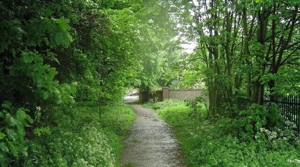 Bridleway in Edenthorpe The history of Edenthorpe can be found following the link. http://www.edenthorpe.com/history.htm