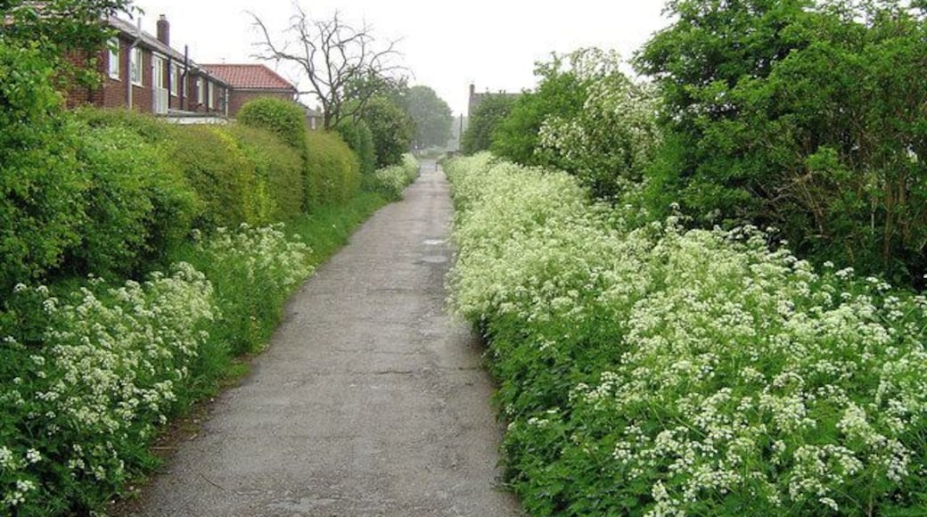 Edenthorpe Lanes. The history of Edenthorpe can be found following the link. http://www.edenthorpe.com/history.htm