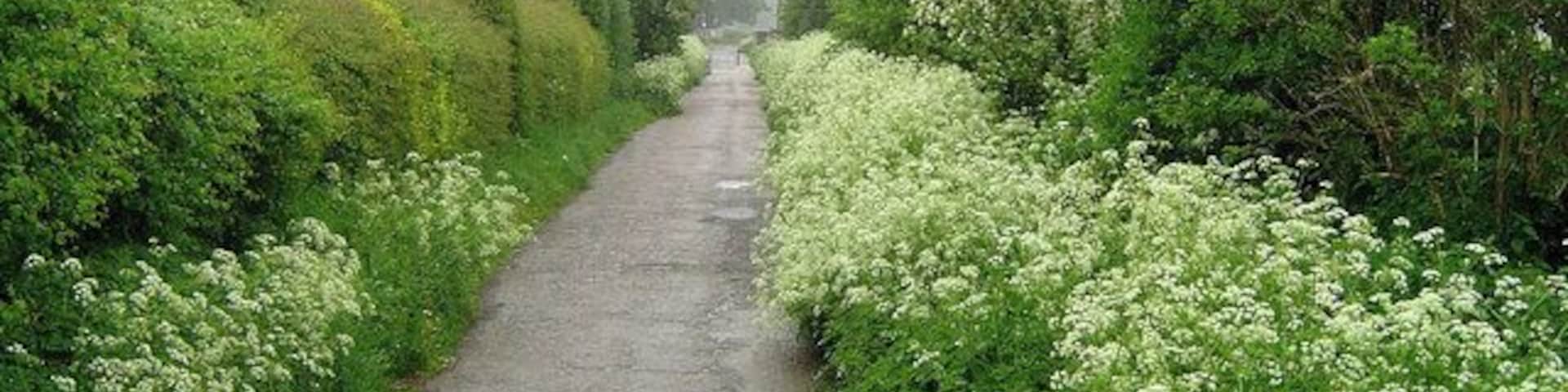 Edenthorpe Lanes. The history of Edenthorpe can be found following the link. http://www.edenthorpe.com/history.htm