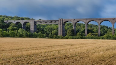 Viaduct at Mexborough