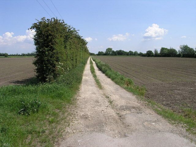 Tall Hedge and Track. This farm track crosses South Engine Drain on its way to Aucklands Farm.