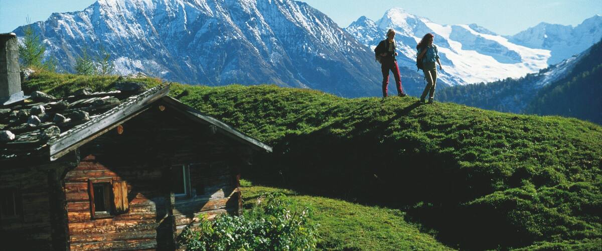Mayrhofen featuring tranquil scenes, hiking or walking and mountains