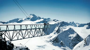 Tirol som viser landskap, snø og utsikt