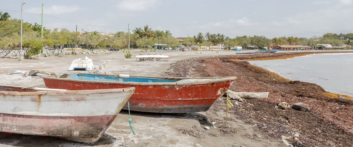 Two boats on a sandy shore with a beach and palm trees in the background.