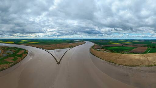 Aerial view of Trent Falls confluence where the River Trent and River Ouse meet, surrounded by green fields and yellow rapeseed under a cloudy sky in Goole, United Kingdom.