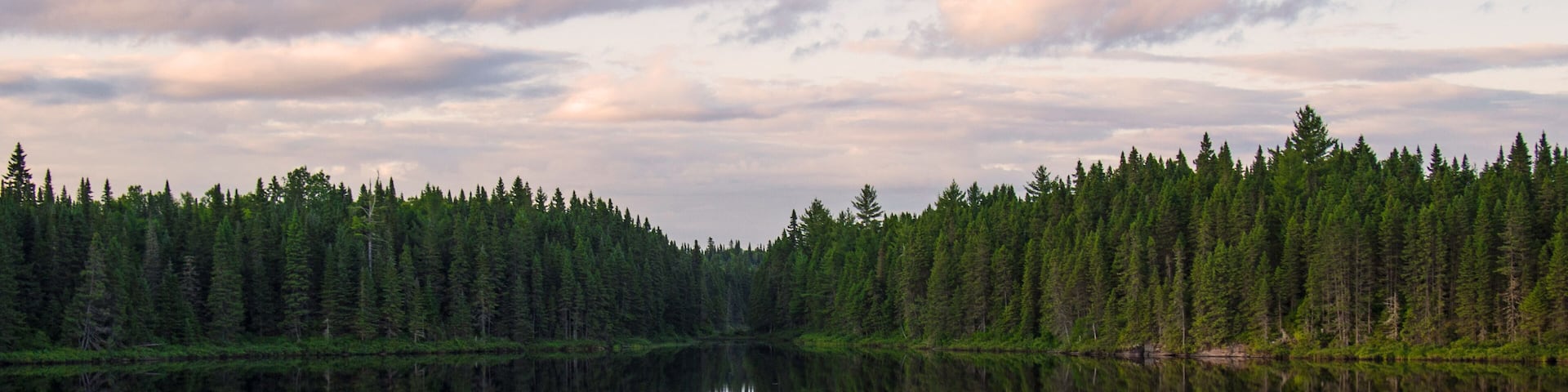 Beautiful deep wood lake at sunset, Quebec, Canada