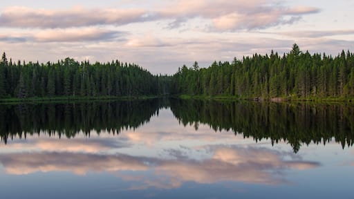 Beautiful deep wood lake at sunset, Quebec, Canada