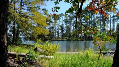 North Toledo Bend State Park in Zwolle Louisiana