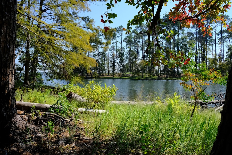 North Toledo Bend State Park in Zwolle Louisiana