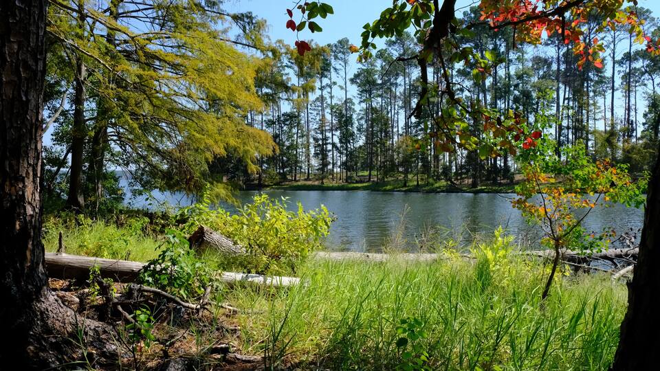 A serene lake surrounded by trees with green and red foliage, a calm water surface, and a grassy foreground.