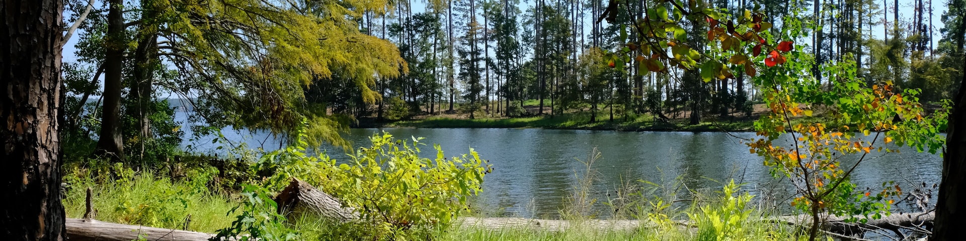 North Toledo Bend State Park in Zwolle Louisiana