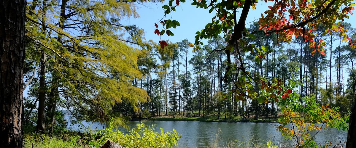 A serene lake surrounded by trees with green and red foliage, a calm water surface, and a grassy foreground.