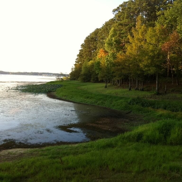 The hundred year drought is decimating the lake and the local economy.  The water is normally up to the trees in this photo.