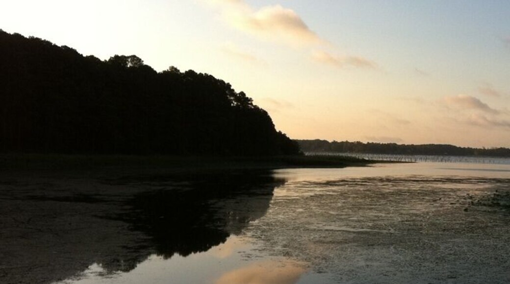 Sunrise over Toledo Bend Reservoir.