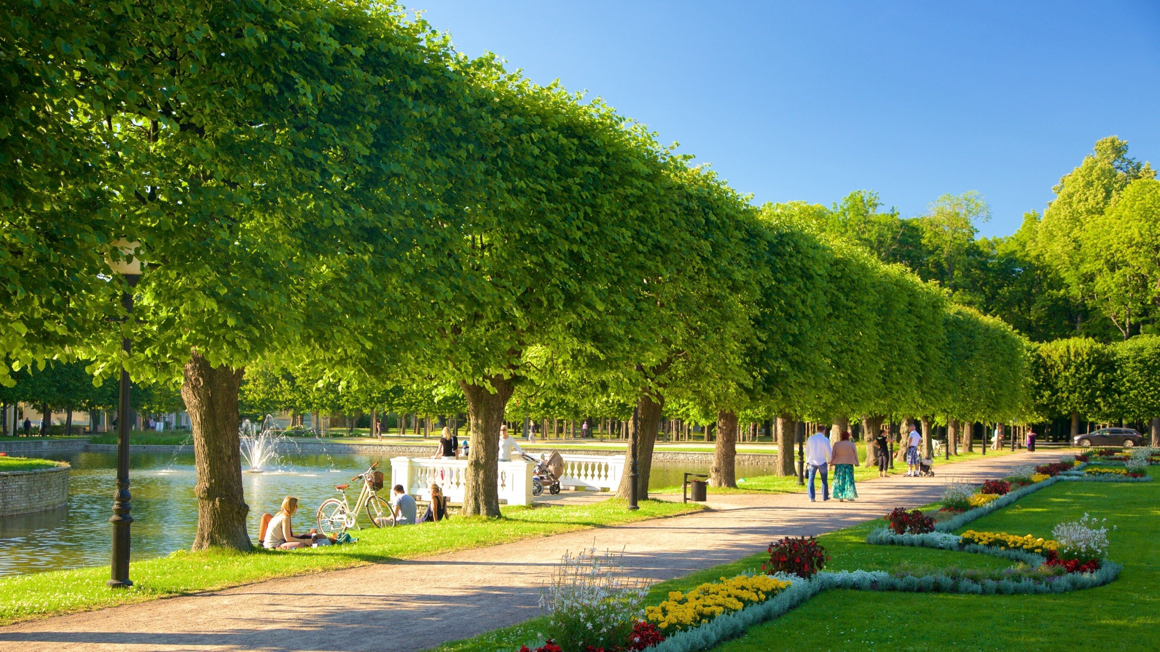 Tallinn som viser fjell og hage