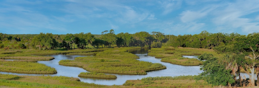 A panoramic view of the intertidal coastal habitat of Cockroach Bay Nature Preserve in Hillsborough County, Florida, a coastal ecosystem restoration along Tampa Bay.