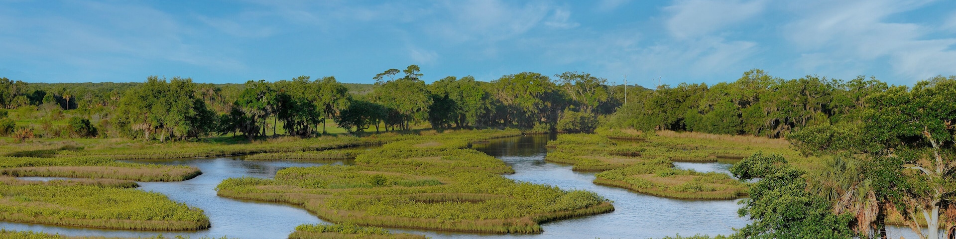 A river meandering through a marshland with dense greenery and trees.