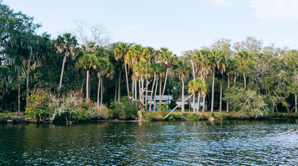 River view house and dock along Little Manatee River