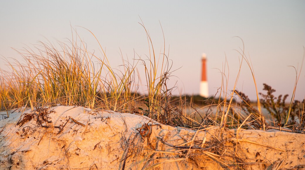 بارنيجات لايت