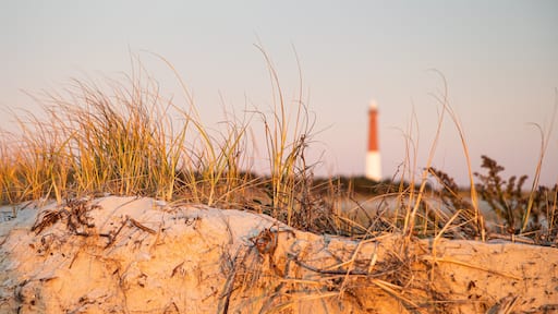 Barnegat Light