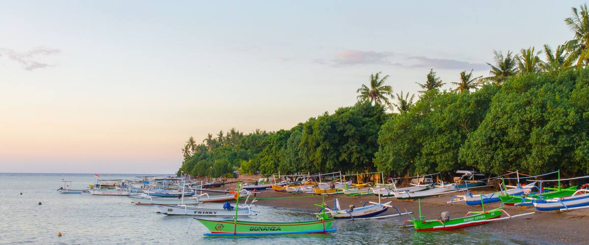 A beach with numerous colorful boats docked along the shore and a line of palm trees in the background.