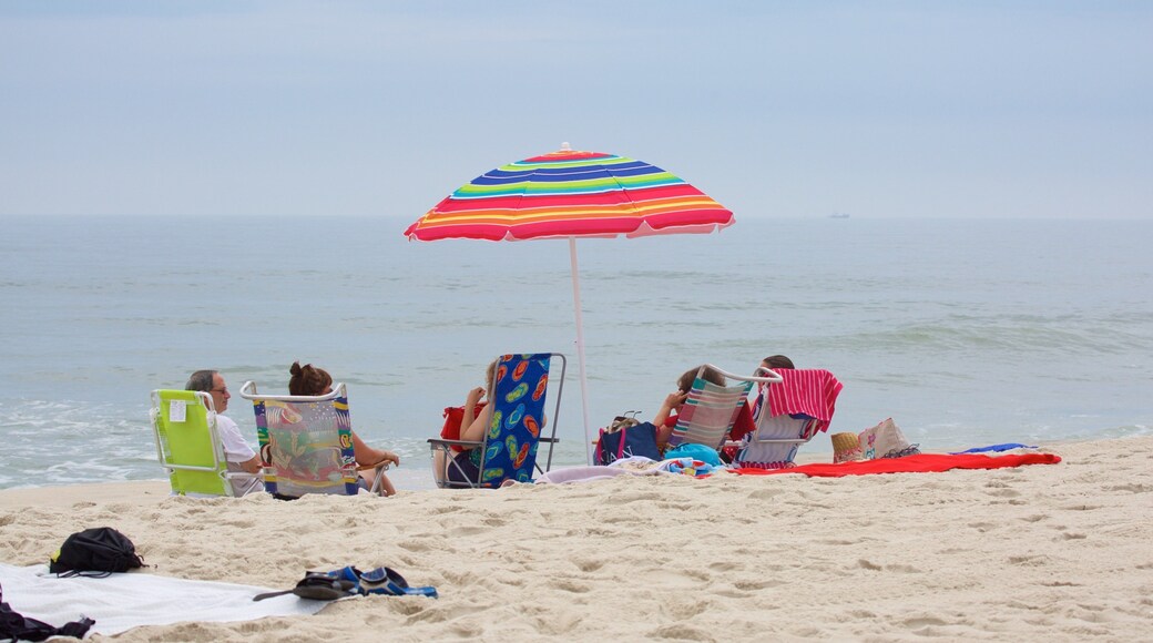 ニュー ジャージー ショア 表示 砂浜 及び 大勢の人々