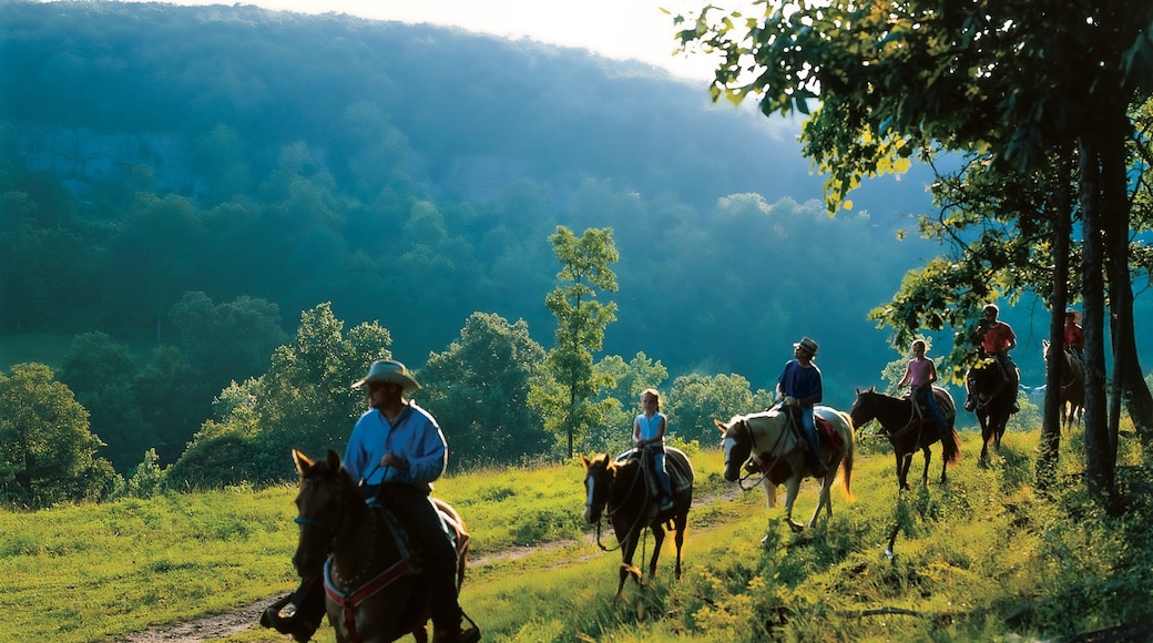 Buffalo National River showing landscape views, horseriding and tranquil scenes