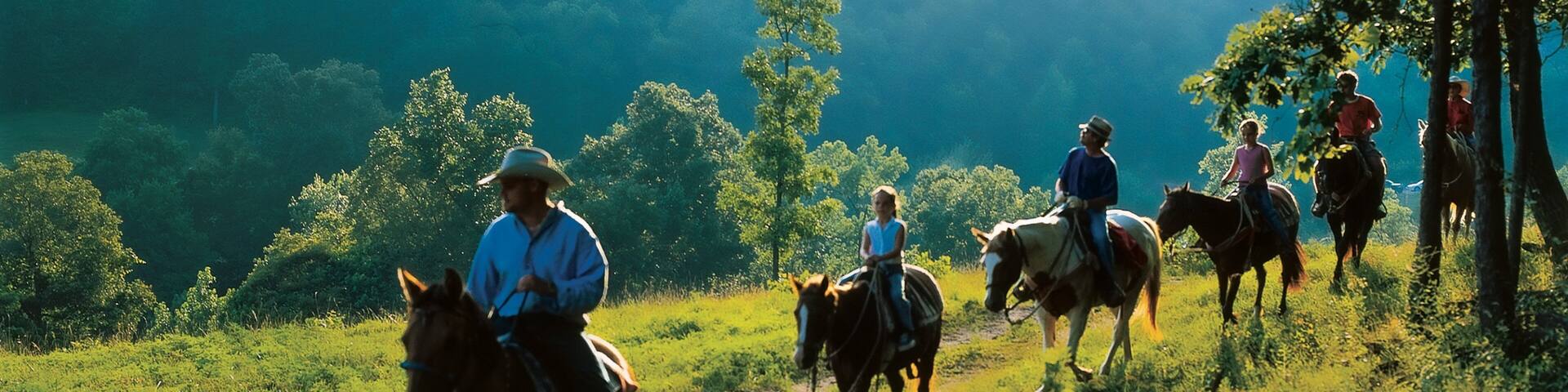 Buffalo National River showing landscape views, horseriding and tranquil scenes