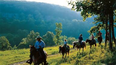 Buffalo National River showing landscape views, horseriding and tranquil scenes