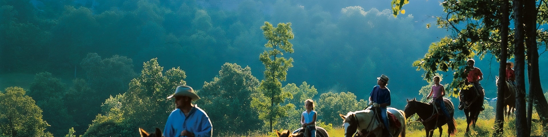 Buffalo National River showing landscape views, horseriding and tranquil scenes