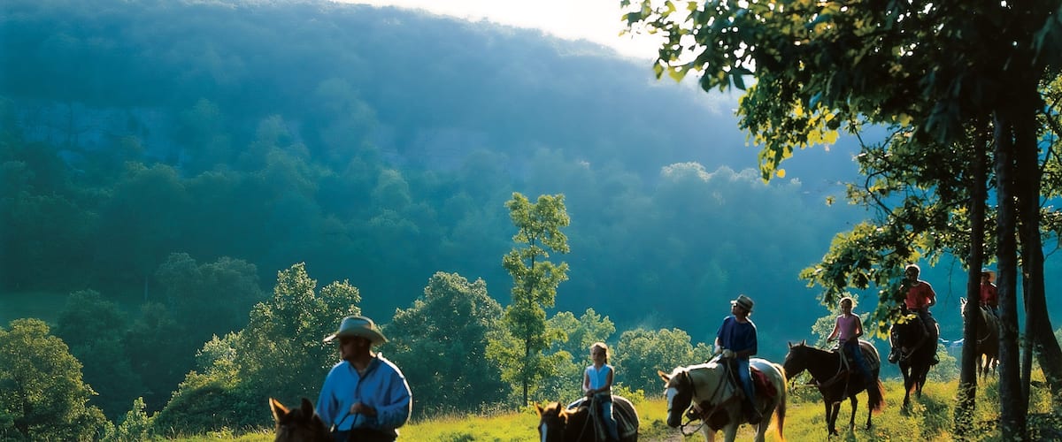 A group of people riding horses on a grassy hillside with a forested valley in the background.