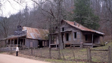 Buffalo National River mettant en vedette scènes forestières et maison aussi bien que femme