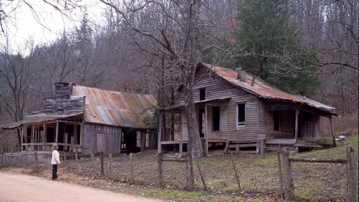 Buffalo National River mettant en vedette scĂšnes forestiĂšres et maison aussi bien que femme