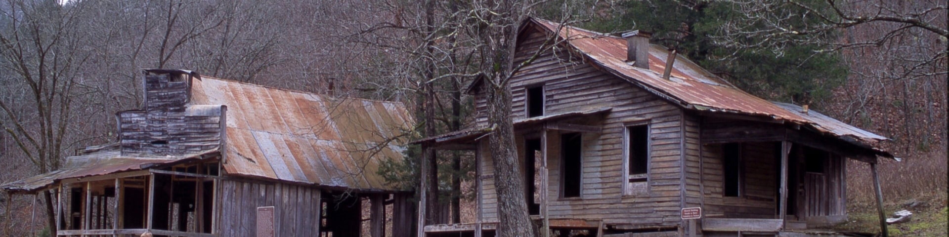 Buffalo National River caracterizando uma casa e florestas assim como uma mulher sozinha