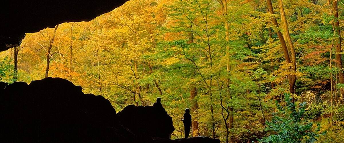 Buffalo National River 을 특징 숲 풍경 과 가을 색감