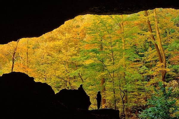 A forest with autumn foliage and a person standing on a rock.